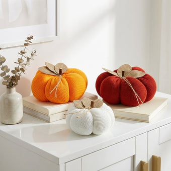 Set 3 dovleci decorativi toamnă