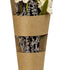 Buchet decorativ cu flori uscate bej