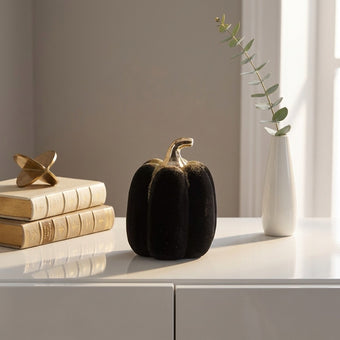 Dovleac decorativ negru catifea 13cm