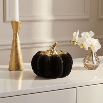 Dovleac decorativ negru catifea 12cm