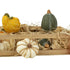 Set 12 dovleci decorativi din ceramică în lădiță de lemn