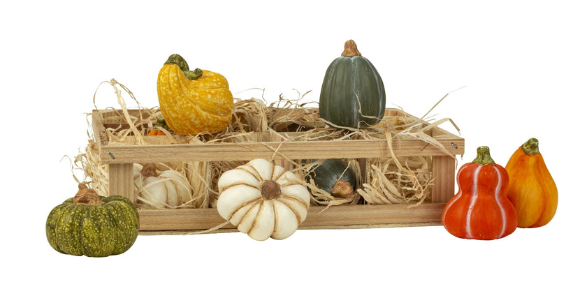 Set 12 dovleci decorativi din ceramică în lădiță de lemn