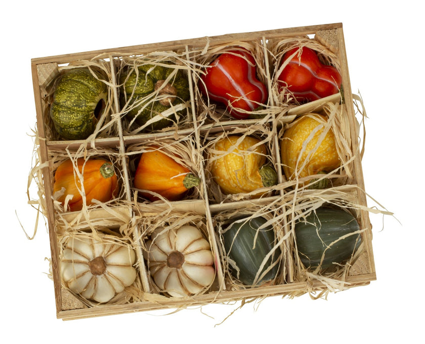 Set 12 dovleci decorativi din ceramică în lădiță de lemn