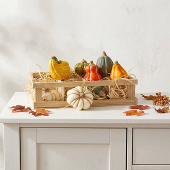Set 12 dovleci decorativi din ceramică în lădiță de lemn