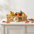 Set 12 dovleci decorativi din ceramică în lădiță de lemn