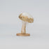 Ciupercă decorativă catifea albă 13cm