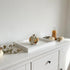 Dovleac decorativ alb cu flori 10cm