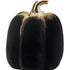 Dovleac decorativ negru, din catifea, cu codiță aurie