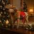 Ren decorativ de Crăciun, din material textil, cu coarne aurii și sclipitoare, așezat pe un bufet din lemn maro, decorat de Crăciun