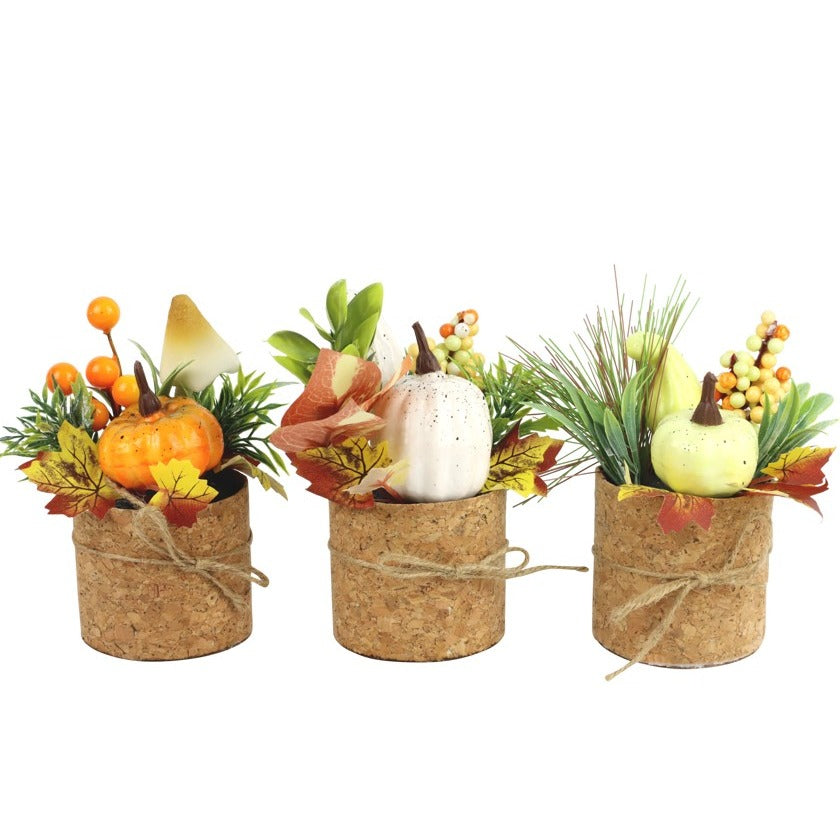 Set 3 aranjamente dovlecei de toamnă în ghiveci de plută