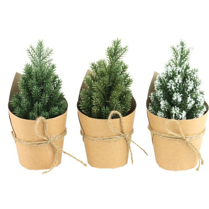 Set 3 brazi decorativi de Crăciun, în ghiveci de hârtie