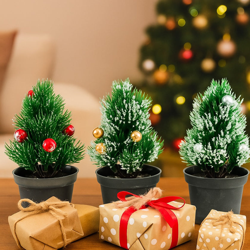 Set 3 brazi decorativi cu globuri, în ghiveci negru, așezate pe o masa de lemn maro. În fața lor se află 3 cadouri ambalate de Crăciun